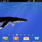 Ladda ner Ocean: Whale på Android, liksom andra gratis live wallpapers för Samsung S8003.