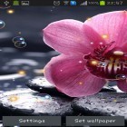 Förutom levande bakgrundsbild till Android Tornado 3D ström, ladda ner gratis live wallpaper APK Orchid HD andra.