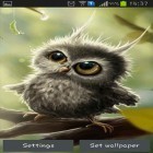 Förutom levande bakgrundsbild till Android Magic smoke 3D ström, ladda ner gratis live wallpaper APK Owl chick andra.