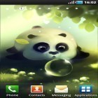 Förutom levande bakgrundsbild till Android Magicolor ström, ladda ner gratis live wallpaper APK Panda dumpling andra.