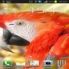 Förutom levande bakgrundsbild till Android Flower clock ström, ladda ner gratis live wallpaper APK Parrot by TTR andra.