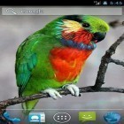 Förutom levande bakgrundsbild till Android My log home ström, ladda ner gratis live wallpaper APK Parrot by Wpstar andra.