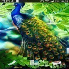 Förutom levande bakgrundsbild till Android Dynamical ripples ström, ladda ner gratis live wallpaper APK Peacock andra.