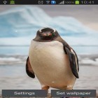 Förutom levande bakgrundsbild till Android Cheetah by Live mongoose ström, ladda ner gratis live wallpaper APK Penguin andra.