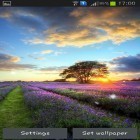 Förutom levande bakgrundsbild till Android Home tree ström, ladda ner gratis live wallpaper APK Perfect sunset andra.