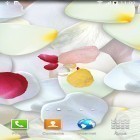 Ladda ner Petals 3D by Blackbird wallpapers på Android, liksom andra gratis live wallpapers för HTC Gratia.