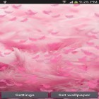 Förutom levande bakgrundsbild till Android Smart cube ström, ladda ner gratis live wallpaper APK Pink feather andra.