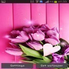 Förutom levande bakgrundsbild till Android Cocktail ström, ladda ner gratis live wallpaper APK Pink tulips andra.