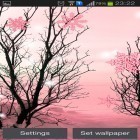 Förutom levande bakgrundsbild till Android Romantic waterfall 3D ström, ladda ner gratis live wallpaper APK Pink winter andra.