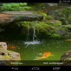 Förutom levande bakgrundsbild till Android Jumpgate ström, ladda ner gratis live wallpaper APK Pond with Koi andra.