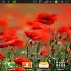 Förutom levande bakgrundsbild till Android Apocalypse 3D ström, ladda ner gratis live wallpaper APK Poppies andra.