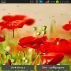 Förutom levande bakgrundsbild till Android Bamboo grove 3D ström, ladda ner gratis live wallpaper APK Poppy fields andra.