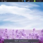 Förutom levande bakgrundsbild till Android New Engine ström, ladda ner gratis live wallpaper APK Purple lavender andra.