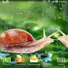 Förutom levande bakgrundsbild till Android Fishing ström, ladda ner gratis live wallpaper APK Rain andra.
