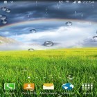 Ladda ner Rainbow by Blackbird wallpapers på Android, liksom andra gratis live wallpapers för HTC One XL.