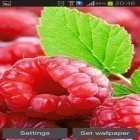 Förutom levande bakgrundsbild till Android Ocean and Sunset ström, ladda ner gratis live wallpaper APK Raspberries andra.