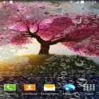 Förutom levande bakgrundsbild till Android Autumn rain ström, ladda ner gratis live wallpaper APK Romantic andra.