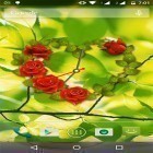 Ladda ner Rose clock på Android, liksom andra gratis live wallpapers för Samsung Galaxy Tab P1000.