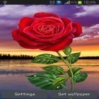 Förutom levande bakgrundsbild till Android Cherry in blossom ström, ladda ner gratis live wallpaper APK Rose: Magic touch andra.