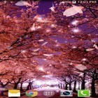 Förutom levande bakgrundsbild till Android Sakura's bridge ström, ladda ner gratis live wallpaper APK Sakura 3D andra.