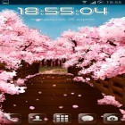 Förutom levande bakgrundsbild till Android Sunrise ström, ladda ner gratis live wallpaper APK Sakura's bridge andra.