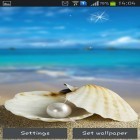 Förutom levande bakgrundsbild till Android Draw in sand ström, ladda ner gratis live wallpaper APK Seashells andra.