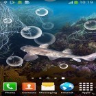 Ladda ner Shark på Android, liksom andra gratis live wallpapers för HTC Dream.