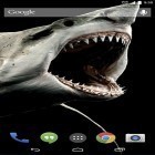 Förutom levande bakgrundsbild till Android Rainbow sequin flip ström, ladda ner gratis live wallpaper APK Shark 3D andra.