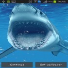 Förutom levande bakgrundsbild till Android Dolphin blue ström, ladda ner gratis live wallpaper APK Sharks andra.