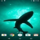 Förutom levande bakgrundsbild till Android Blue skies ström, ladda ner gratis live wallpaper APK Sharks by Fun Live Wallpapers andra.