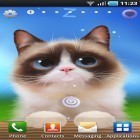 Förutom levande bakgrundsbild till Android Cartoon desert 3D ström, ladda ner gratis live wallpaper APK Shui kitten andra.