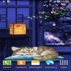 Förutom levande bakgrundsbild till Android Torment demon ström, ladda ner gratis live wallpaper APK Sleeping kitten andra.