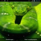 Förutom levande bakgrundsbild till Android Love and flowers ström, ladda ner gratis live wallpaper APK Snake andra.