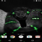 Förutom levande bakgrundsbild till Android Glitter by Live mongoose ström, ladda ner gratis live wallpaper APK Snakes by Fun live wallpapers andra.