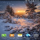 Förutom levande bakgrundsbild till Android Paradise island ström, ladda ner gratis live wallpaper APK Snow andra.