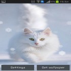 Förutom levande bakgrundsbild till Android Philippines ström, ladda ner gratis live wallpaper APK Snow cats andra.