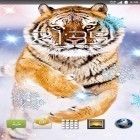 Förutom levande bakgrundsbild till Android Wave ström, ladda ner gratis live wallpaper APK Snow tiger andra.