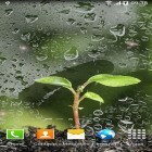 Förutom levande bakgrundsbild till Android Autumn tree ström, ladda ner gratis live wallpaper APK Spring andra.