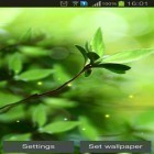 Förutom levande bakgrundsbild till Android Whale trail ström, ladda ner gratis live wallpaper APK Spring buds andra.