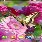 Förutom levande bakgrundsbild till Android Airplanes ström, ladda ner gratis live wallpaper APK Spring flowers 3D andra.