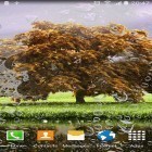 Förutom levande bakgrundsbild till Android Real space 3D ström, ladda ner gratis live wallpaper APK Spring landscapes andra.