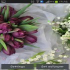Förutom levande bakgrundsbild till Android Hunger games ström, ladda ner gratis live wallpaper APK Springs lilie and tulips andra.