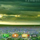 Förutom levande bakgrundsbild till Android Zen garden by BlackBird Wallpapers ström, ladda ner gratis live wallpaper APK Spring rain by Locos apps andra.