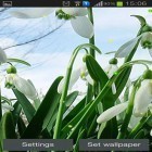 Förutom levande bakgrundsbild till Android Butterfly magic 3D ström, ladda ner gratis live wallpaper APK Spring snowdrop andra.