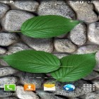 Förutom levande bakgrundsbild till Android Camouflage ström, ladda ner gratis live wallpaper APK Stones in water andra.