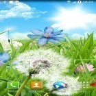 Förutom levande bakgrundsbild till Android Earth and space ström, ladda ner gratis live wallpaper APK Summer flowers andra.