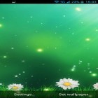 Förutom levande bakgrundsbild till Android Siberian night ström, ladda ner gratis live wallpaper APK Summer Flowers by Dynamic Live Wallpapers andra.
