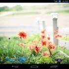 Förutom levande bakgrundsbild till Android Flying meteor ström, ladda ner gratis live wallpaper APK Summer flowers by Mww apps andra.