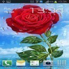Förutom levande bakgrundsbild till Android Love hearts ström, ladda ner gratis live wallpaper APK Summer rain: Flowers andra.