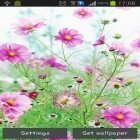 Förutom levande bakgrundsbild till Android Cat Halloween ström, ladda ner gratis live wallpaper APK Sweet flowers andra.
